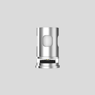 Innokin ZF Heads 0,3 Ohm (5 Stück pro Packung)